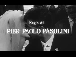 "conversations about love" |1964| directed by: pier paolo pasolini | documentary (russian subtitles)